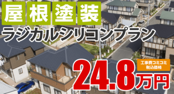 roof_mainv02