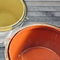外壁塗装でペットのアレルギーは大丈夫？プロが教える安全な塗料|木更津市・君津市・袖ヶ浦市の外壁塗装専門店サムネイル