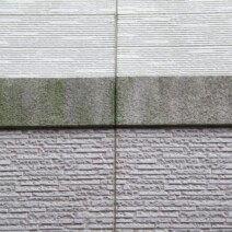 袖ヶ浦市椎の森：森に近い住宅の「冬のコケ対策」に効く防カビ塗装のポイント。|木更津市・君津市・袖ヶ浦市の外壁塗装専門店サムネイル