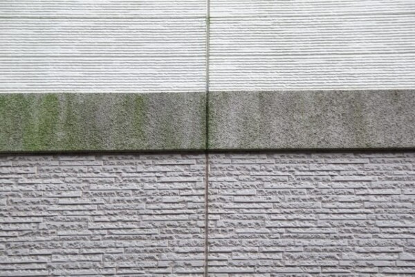 袖ヶ浦市椎の森：森に近い住宅の「冬のコケ対策」に効く防カビ塗装のポイント。|木更津市・君津市・袖ヶ浦市の外壁塗装専門店サムネイル