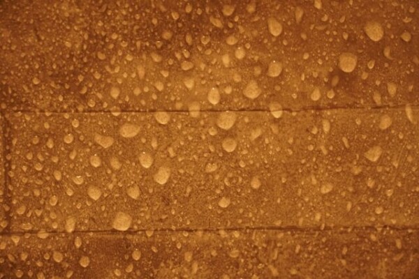 袖ヶ浦市のぞみ野で外壁塗装：11月・12月の施工で注意すべき「朝露」の影響。| 木更津市・君津市・袖ヶ浦市の外壁塗装専門店サムネイル